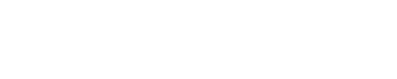 WP White Primary Logo RGB